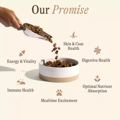Unconditional Air Dried Adult Dry Dog Food - Beef - Image 7