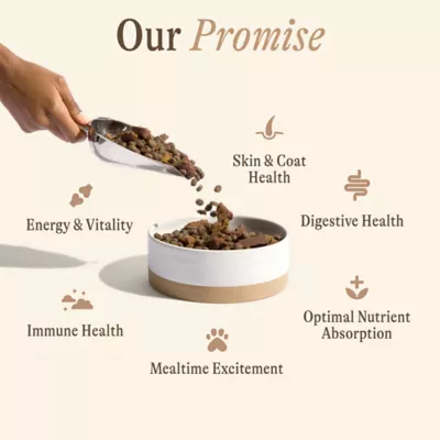 Unconditional Prime Protein Blend Adult Dry Dog Food - Chicken - Image 7