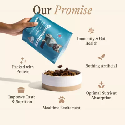 Unconditional Immunity and Gut Support Adult Dry Dog Food Topper - Beef - Image 7