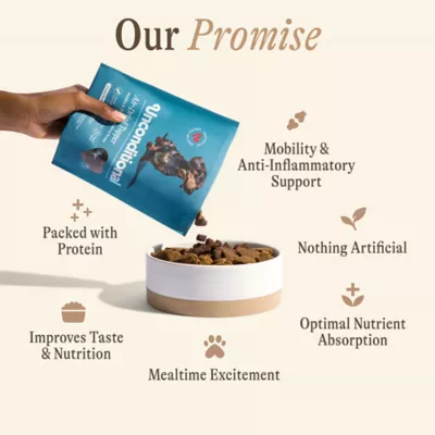 Unconditional Mobility Support Adult Dry Dog Food Topper - Chicken - Image 6