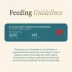Unconditional Mobility Support Adult Dry Dog Food Topper - Chicken image thumbnail 7