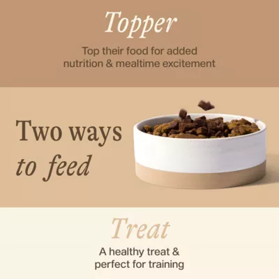 Unconditional Immunity and Gut Support Adult Dry Dog Food Topper - Beef - Image 9