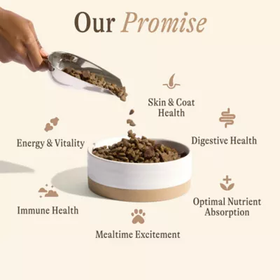 Unconditional Protein Blend Adult Dry Dog Food - Salmon - Image 7