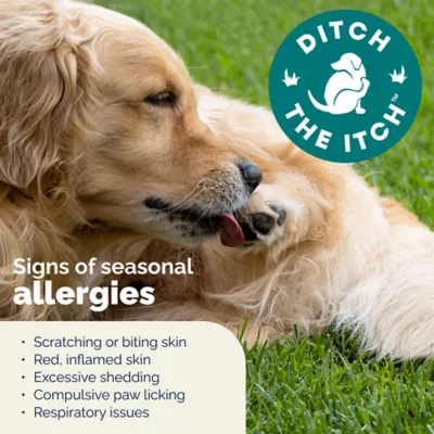 Ventique Dermabliss Dog Advanced Vet Strength Allergy Health Soft Chews, Salmon Flavor, 30 Count - Image 3