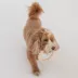 Dexypaws Chew Master Ring Toy Set, Durable Dog Chew Toys image thumbnail 7