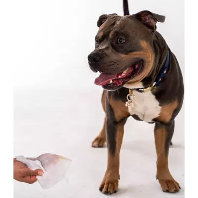 Dexypaws Aloe Vera Pet Cleansing Wipes, Grooming Wipes for Dogs & Cats, 200 Count - Image 3