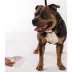 Dexypaws Aloe Vera Pet Cleansing Wipes, Grooming Wipes for Dogs & Cats, 200 Count image thumbnail 3