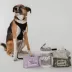 Dexypaws Aloe Vera Pet Cleansing Wipes, Grooming Wipes for Dogs & Cats, 200 Count image thumbnail 6