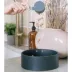 Dexypaws Ceramic Dog Bowl, Pet Feeding Bowl for Dogs, 50 oz Capacity image thumbnail 5