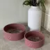 Dexypaws Ceramic Dog Bowl, Pet Feeding Bowl for Dogs, 26 oz Capacity image thumbnail 5