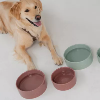 Dexypaws Ceramic Dog Bowl, Pet Feeding Bowl for Dogs, 26 oz Capacity - Image 6