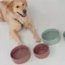 Dexypaws Ceramic Dog Bowl, Pet Feeding Bowl for Dogs, 26 oz Capacity image thumbnail 6
