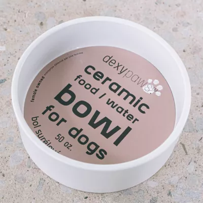Dexypaws Ceramic Dog Bowl, Pet Feeding Bowl for Dogs, 50 oz Capacity - Image 5