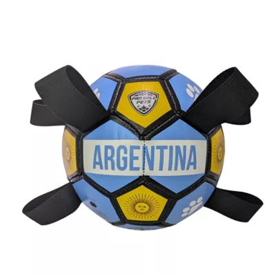 Maccabi Dog Soccer Ball for Dogs, 6in with Grab Tabs, Floats on Water, Fetch Dog Toy Argentina - Image 1