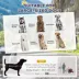 PawHut 2-in-1 Dog Bike Trailer and Stroller for Dogs up to 66 lbs image thumbnail 5