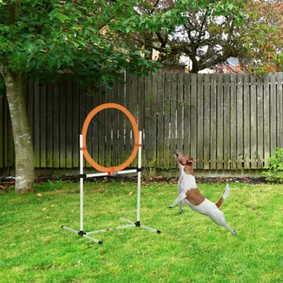 PawHut 2-in-1 Dog Obstacle Training-Tire Jump Ring/Hurdle Bar with Storage Bag - Image 2