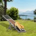PawHut Wood Pet Seesaw Platform-Dog Agility Training Equipment-Weather Resistant image thumbnail 2