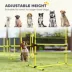 PawHut Set of 4 Dog Agility Training Equipment - Adjustable Jump Bar - with Carrying Bag image thumbnail 4