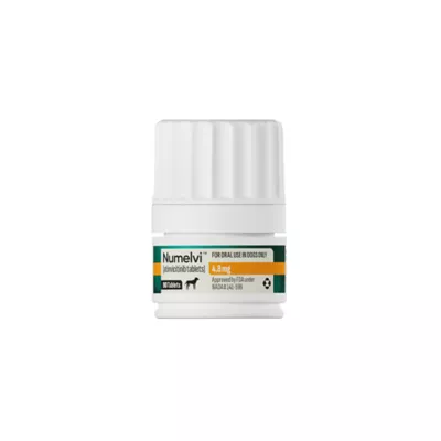 Numelvi (atinvicitinib) Tablets for Dogs - 4.8mg, 7.2mg, 21.6mg, 31.6mg - 30 or 90 Tablets - Image 1