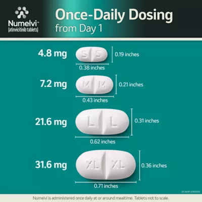 Numelvi (atinvicitinib) Tablets for Dogs - 4.8mg, 7.2mg, 21.6mg, 31.6mg - 30 or 90 Tablets - Image 6
