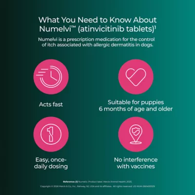 Numelvi (atinvicitinib) Tablets for Dogs - 4.8mg, 7.2mg, 21.6mg, 31.6mg - 30 or 90 Tablets - Image 9