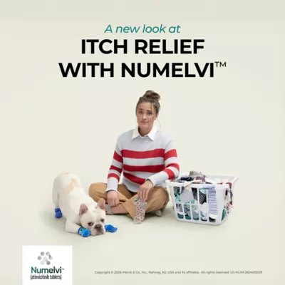 Numelvi (atinvicitinib) Tablets for Dogs - 4.8mg, 7.2mg, 21.6mg, 31.6mg - 30 or 90 Tablets - Image 10