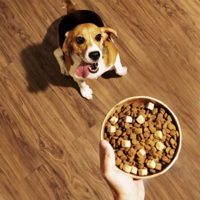 Kismet Dry Dog Food with Freeze Dried Nugs - Salmon - Image 6