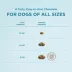 Apoquel (oclacitinib chewable tablet) Chewable for Dogs - 3.6 mg, 5.4 mg, or 16 mg - 1 CT or 30 CT image thumbnail 10