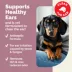 Vetnique OticBliss Dog & Cat  Advanced Vet Strength Anti-Fungal Ear Flush Cleaner, 6 fl oz image thumbnail 3