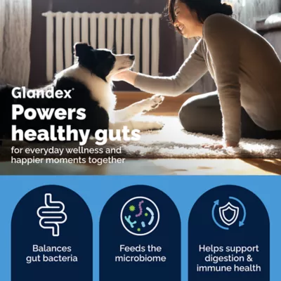 Vetnique Glandex Daily Probiotics & Digestive Health Prebiotics Soft Chew, Bacon Flavor, 60 count - Image 3