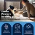 Vetnique Glandex Daily Probiotics & Digestive Health Prebiotics Soft Chew, Bacon Flavor, 60 count image thumbnail 3
