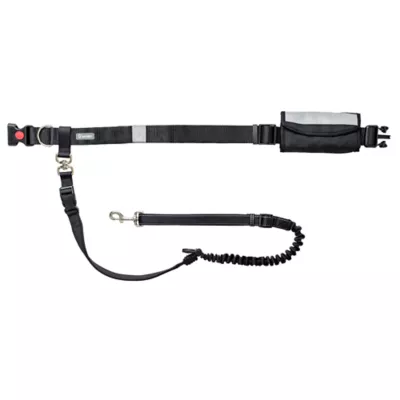 GF Pet Waist Belt & Bungee Dog Leash - Image 1