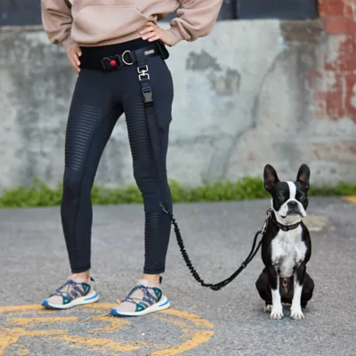 GF Pet Waist Belt & Bungee Dog Leash - Image 2