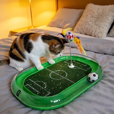 FIFA World Cup 2026 Run Around Cardboard Soccer Field Training Puzzle Cat Toy - Image 2