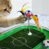 FIFA World Cup 2026 Run Around Cardboard Soccer Field Training Puzzle Cat Toy image thumbnail 4