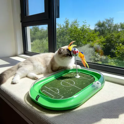 FIFA World Cup 2026 Run Around Cardboard Soccer Field Training Puzzle Cat Toy - Image 5