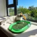 FIFA World Cup 2026 Run Around Cardboard Soccer Field Training Puzzle Cat Toy image thumbnail 5