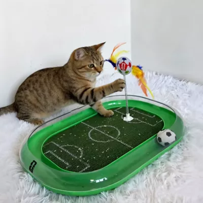 FIFA World Cup 2026 Run Around Cardboard Soccer Field Training Puzzle Cat Toy - Image 6