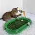 FIFA World Cup 2026 Run Around Cardboard Soccer Field Training Puzzle Cat Toy image thumbnail 6
