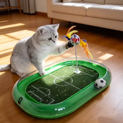 FIFA World Cup 2026 Run Around Cardboard Soccer Field Training Puzzle Cat Toy - Image 8