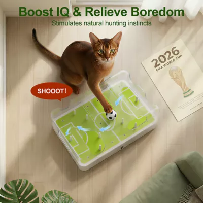 FIFA World Cup 2026 Soccer Field Training Puzzle Cat Toy