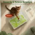 FIFA World Cup 2026 Soccer Field Training Puzzle Cat Toy image thumbnail 3
