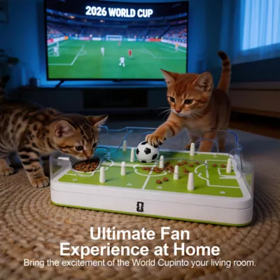 FIFA World Cup 2026 Soccer Field Training Puzzle Cat Toy