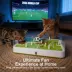 FIFA World Cup 2026 Soccer Field Training Puzzle Cat Toy image thumbnail 6
