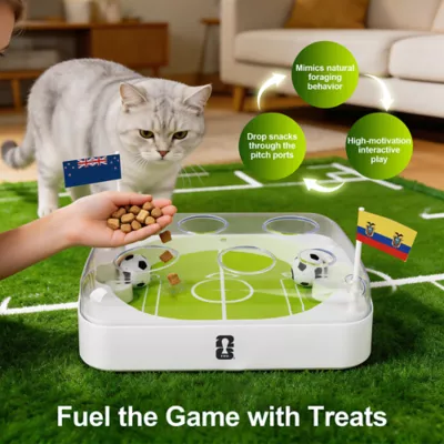 FIFA World Cup 2026 Soccer Game Hunt Training Cat Toy - Image 5