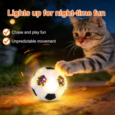 FIFA World Cup 2026 Light Up Soccer Ball Cat Toy - Image 2