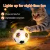 FIFA World Cup 2026 Light Up Soccer Ball Cat Toy image thumbnail 2