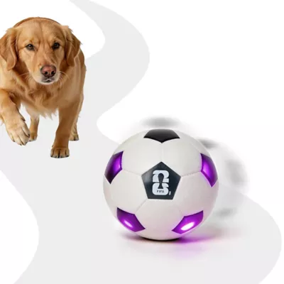 FIFA World Cup 2026 Neo Light Soccer Ball Dog Toy - Image 2
