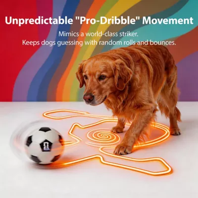 FIFA World Cup 2026 Neo Light Soccer Ball Dog Toy - Image 5