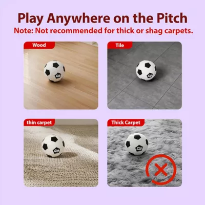 FIFA World Cup 2026 Neo Light Soccer Ball Dog Toy - Image 6